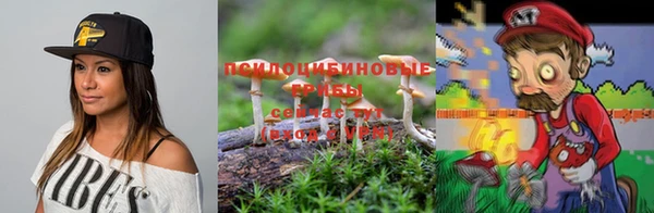 PSILOCYBIN Каменногорск