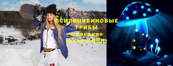 PSILOCYBIN Каменногорск
