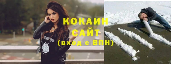 PSILOCYBIN Каменногорск