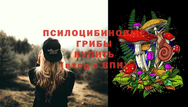 круглые Каменка