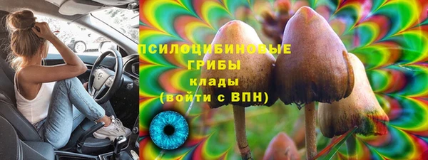 PSILOCYBIN Каменногорск