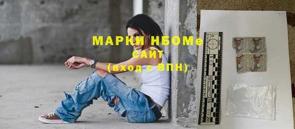 МДПВ Инсар