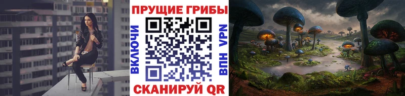 kraken tor  Правдинск  Псилоцибиновые грибы ЛСД  наркота 